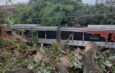 Pohon Tumbang di Antara UI-Pasming Dievakuasi, Perjalanan KRL Kembali Normal